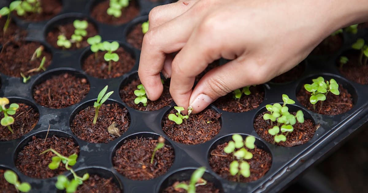 Оптовый поставщик удобрений по России — как выбрать и не переплатить